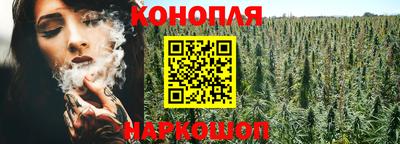 Альфа ПВП Комсомольск-на-Амуре