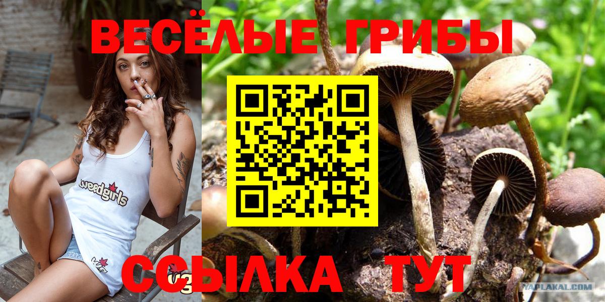 Красноармейск  Псилоцибиновые грибы Magic Shrooms  Галлюциногенные грибы Psilocybine cubensis  Вход с VPN 